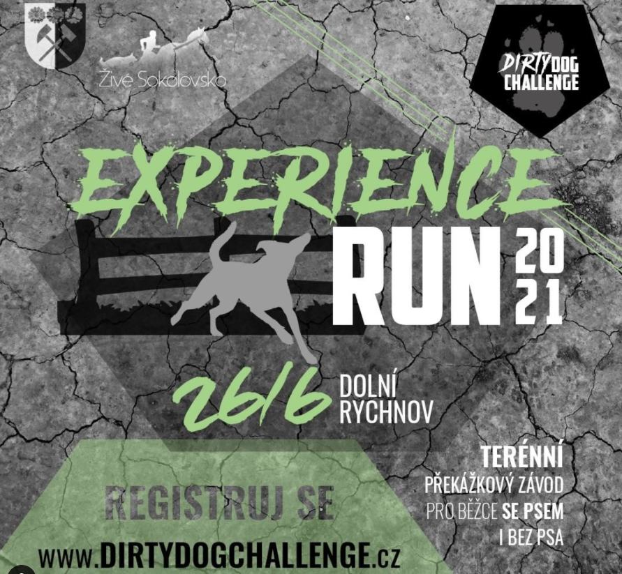 Experience run 2021